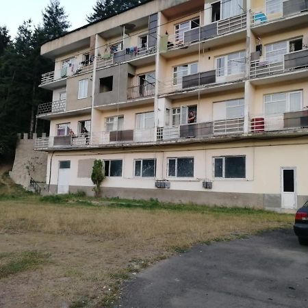 شقة بورجومي  في Alena'S Flat المظهر الخارجي الصورة