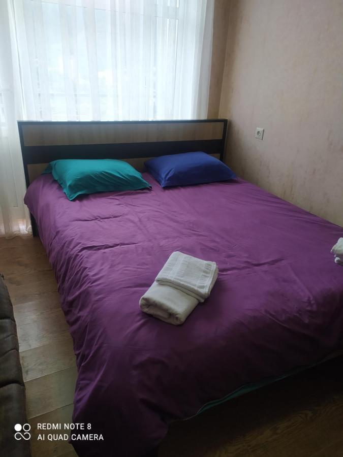 شقة بورجومي  في Alena'S Flat المظهر الخارجي الصورة