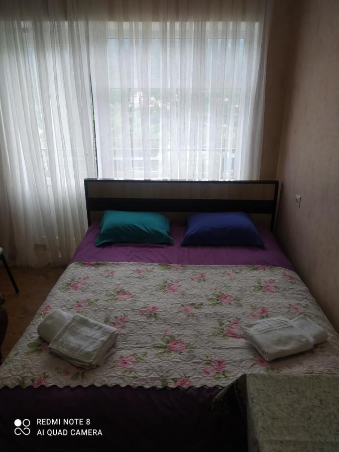 شقة بورجومي  في Alena'S Flat المظهر الخارجي الصورة